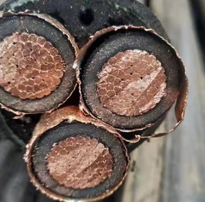 金聯(lián)宇電線電纜廠家在制造電纜的時(shí)候不能忽略質(zhì)量問題.jpg 金聯(lián)宇電線電纜廠家在制造電纜的時(shí)候不能忽略質(zhì)量問題.jpg